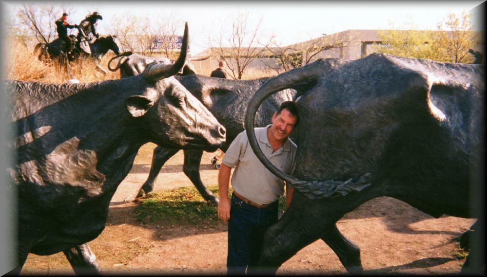 Steve_and_bulls