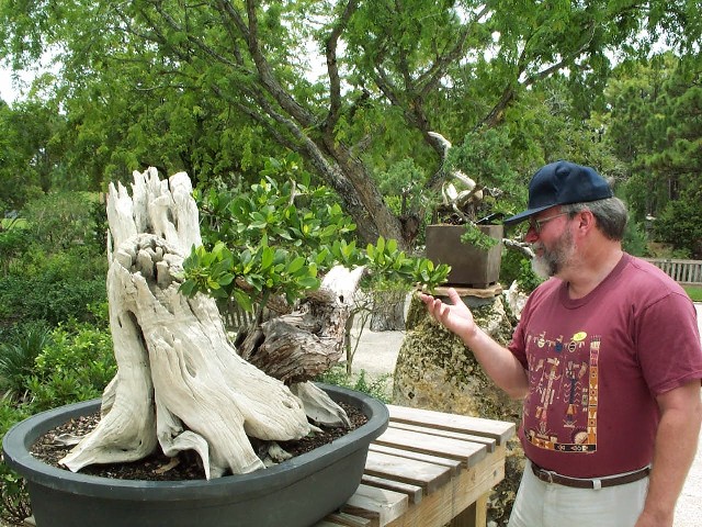 Dan_Bonsai