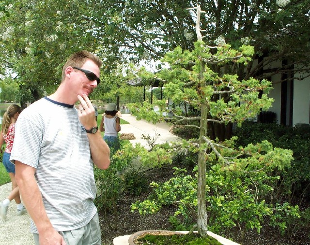 Tom_Bonsai