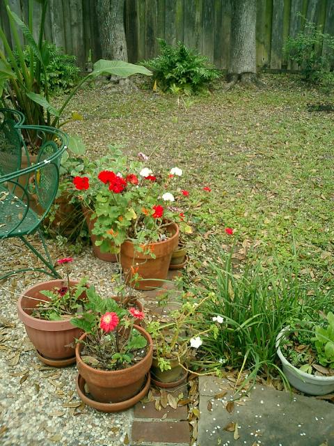 This is our little resting patio off the kitchen.
