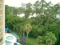 looking down from our room at the pool Click to display the image.